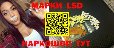 гашик Моздок