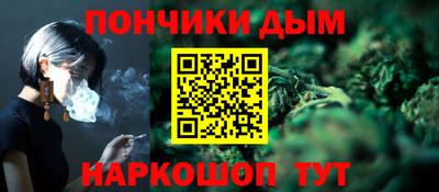 гашик Моздок
