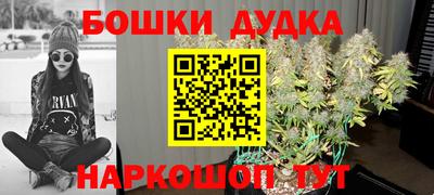 гашик Моздок