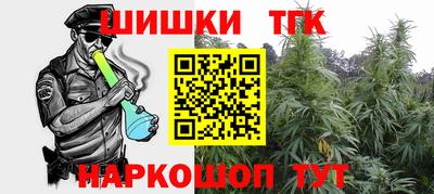 гашик Моздок