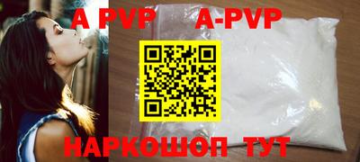 гашик Моздок