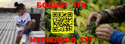 гашик Моздок