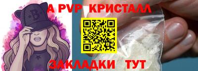 гашик Моздок