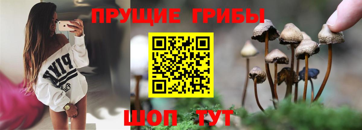 Галлюциногенные грибы мицелий  Вход с VPN  Ржев 